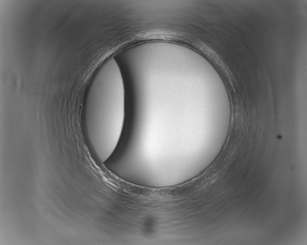 X0000078830529200611130934