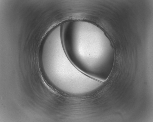 X0000078830530200611130934