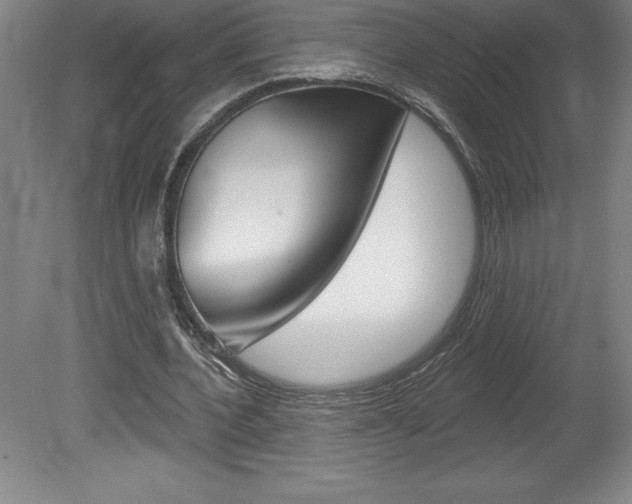 X0000078830532200611130934