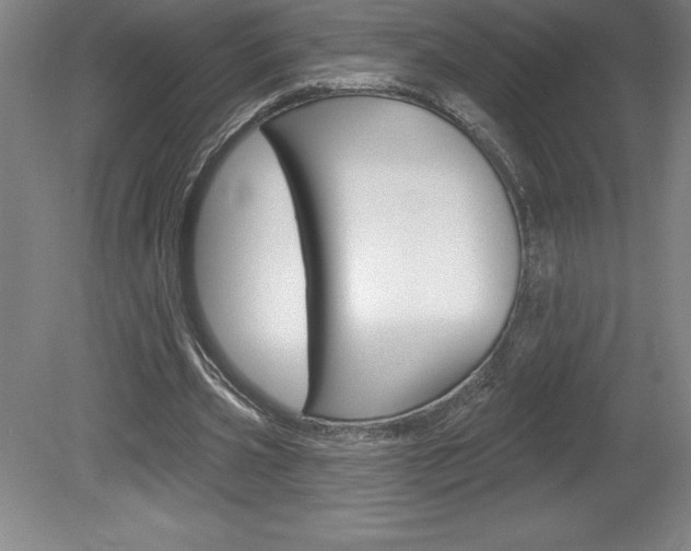 X0000078830533200611130934
