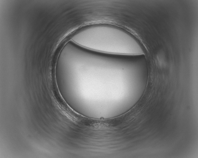 X0000078830535200611130934