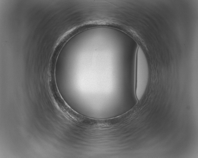 X0000078830536200611130934