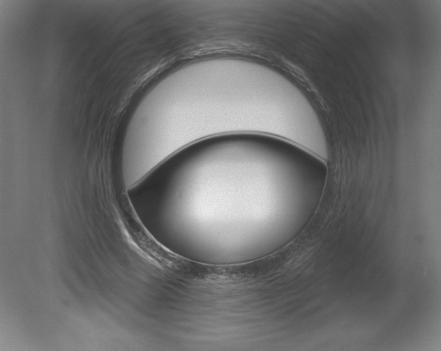 X0000078830538200611130934