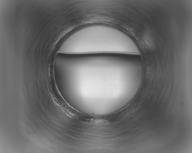 X0000078830539200611130934