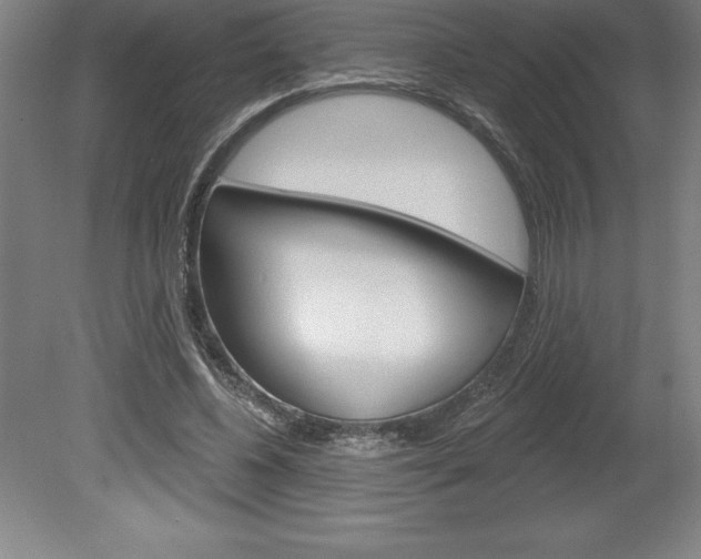 X0000078830540200611130934