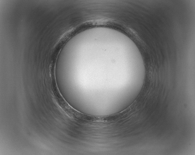X0000078830543200611130934