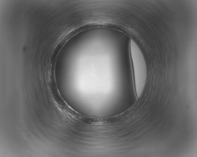 X0000078830544200611130934