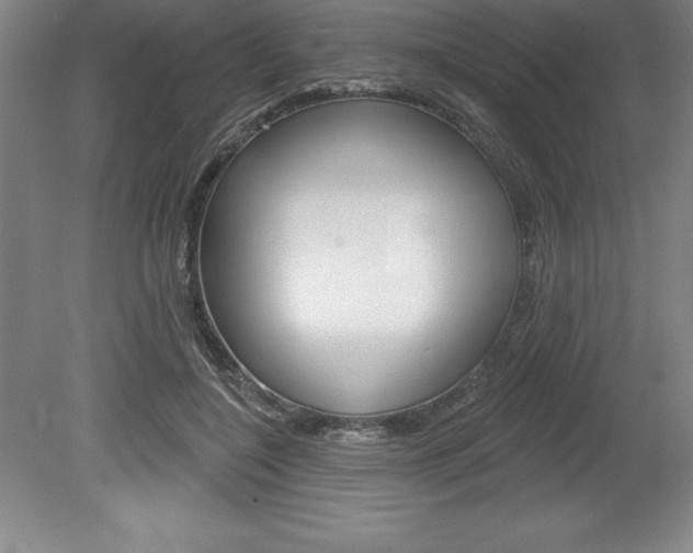 X0000078830548200611130934