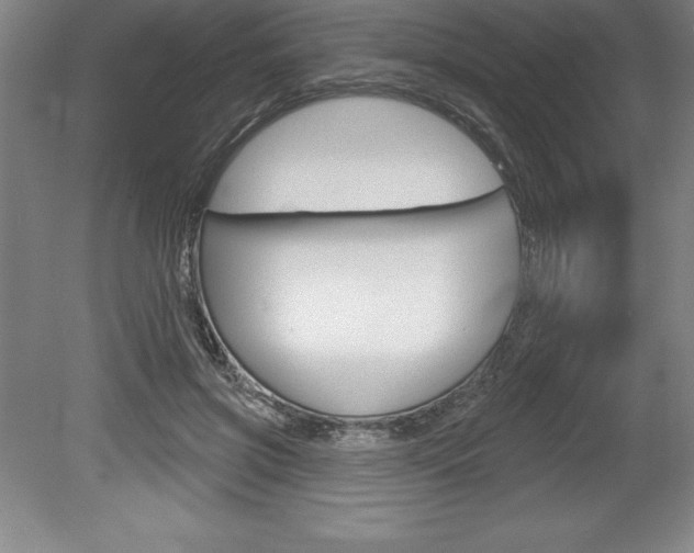 X0000078830549200611130934