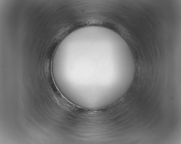 X0000078830550200611130934