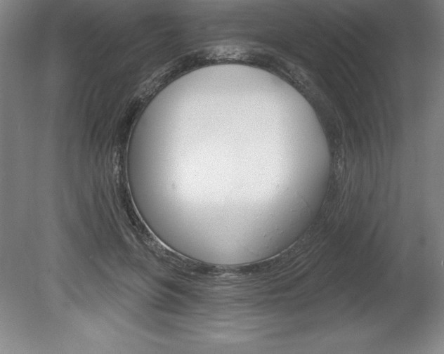X0000078830551200611130934