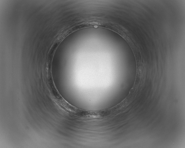 X0000078830552200611130934