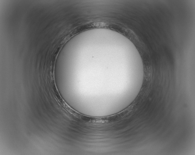 X0000078830553200611130934