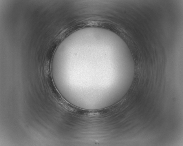 X0000078830554200611130934