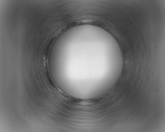 X0000078830555200611130935