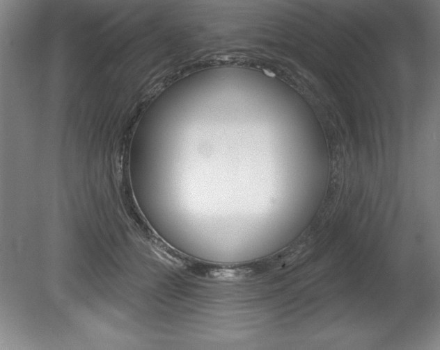 X0000078830558200611130935