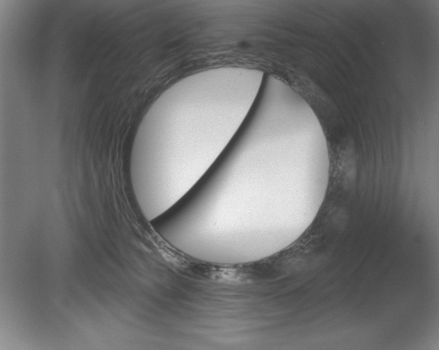 X0000078830565200611130935