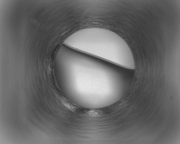 X0000078830566200611130935