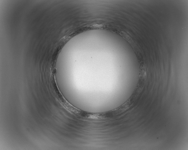 X0000078830568200611130935
