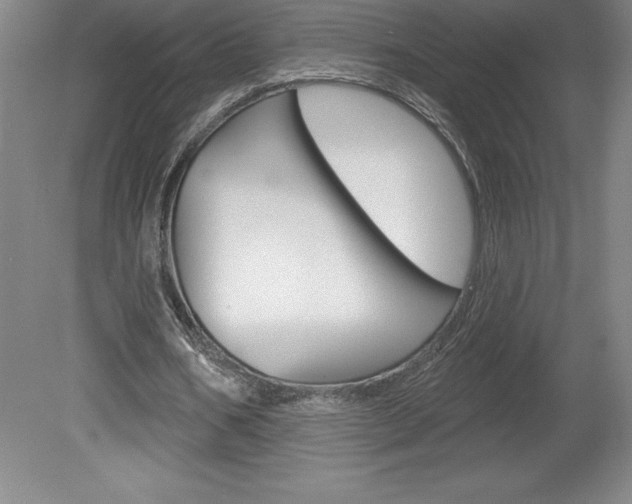 X0000078830578200611130934