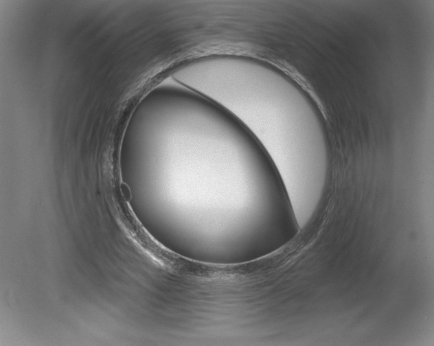 X0000078830581200611130934