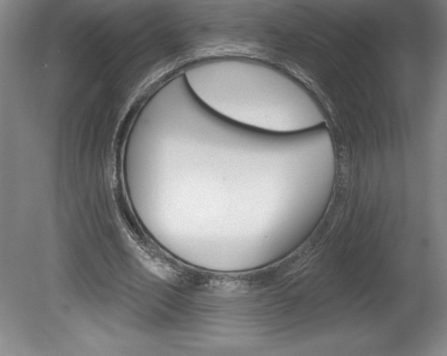 X0000078830582200611130934