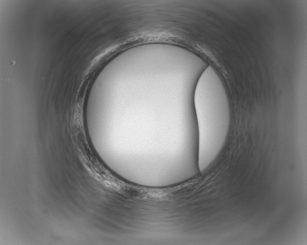 X0000078830583200611130934