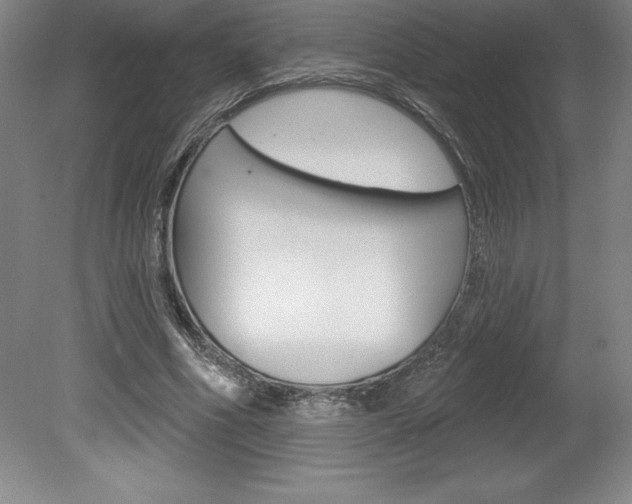 X0000078830586200611130934
