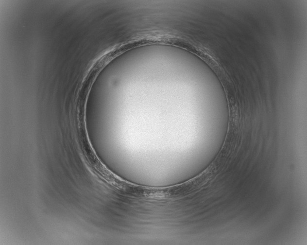 X0000078830587200611130934