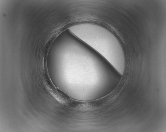 X0000078830589200611130934