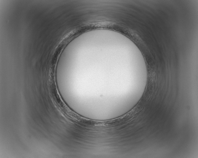 X0000078830591200611130934