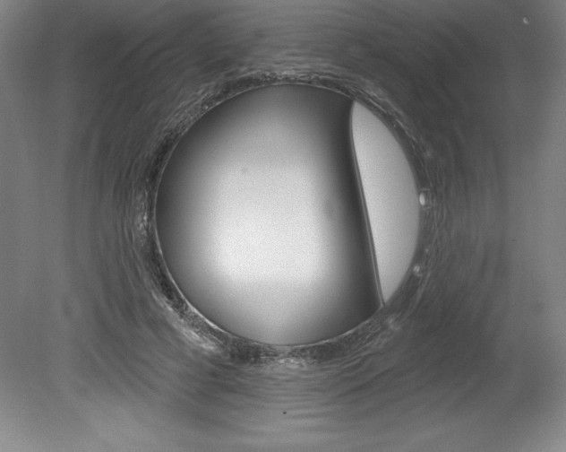 X0000078830593200611130934