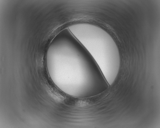 X0000078830596200611130934