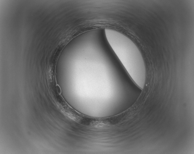 X0000078830597200611130934