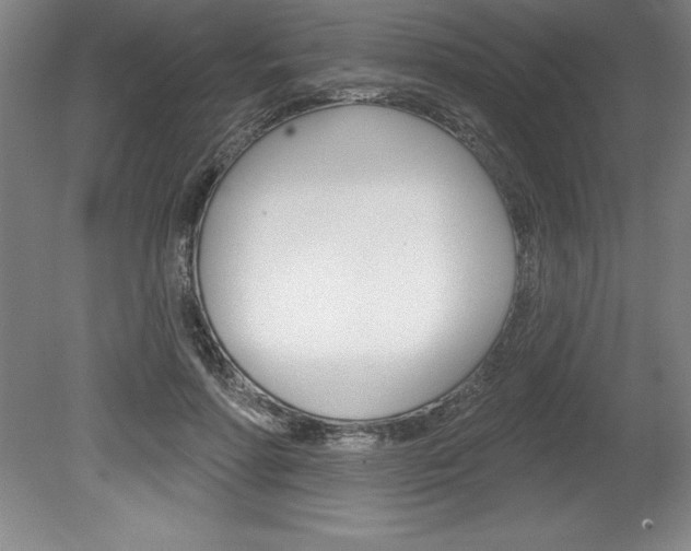 X0000078830598200611130934