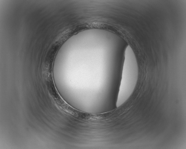 X0000078830599200611130934