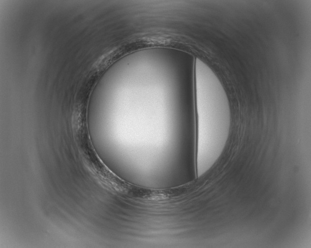 X0000078830600200611130934