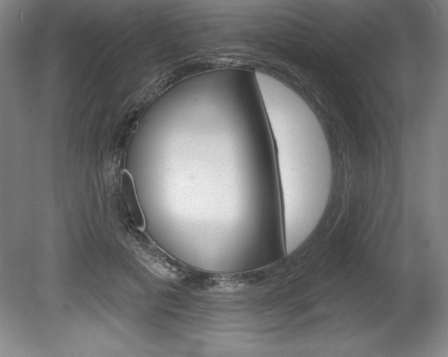 X0000078830601200611130934
