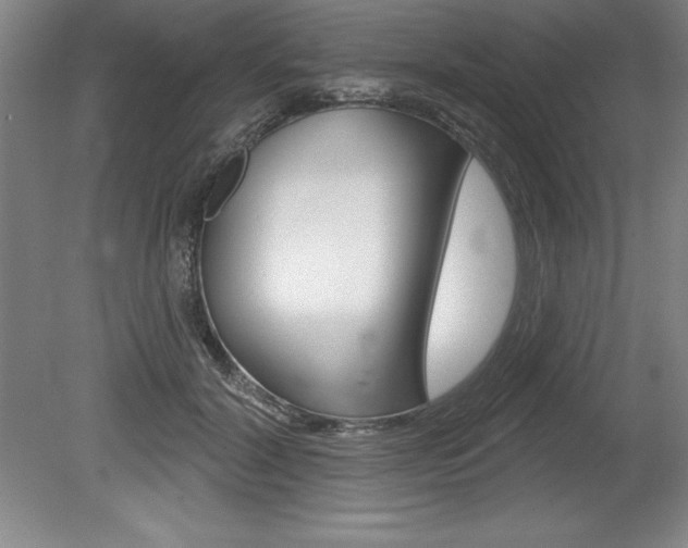 X0000078830604200611130934