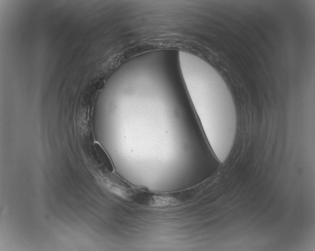 X0000078830605200611130934