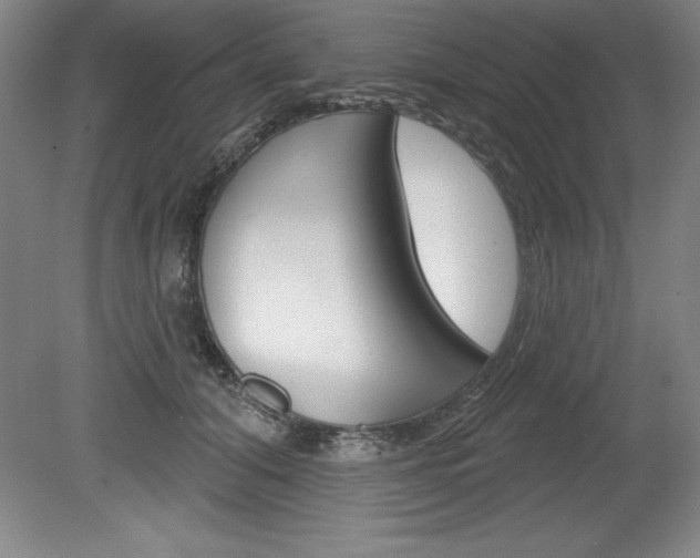 X0000078830608200611130934