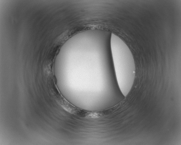 X0000078830611200611130933