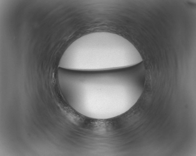 X0000078830615200611130933