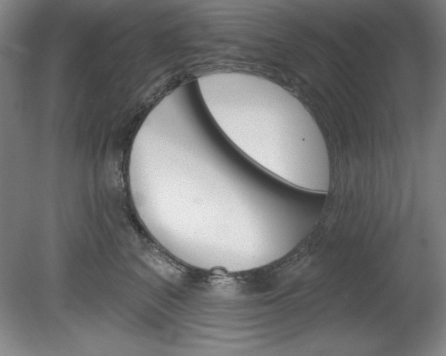 X0000078830616200611130933
