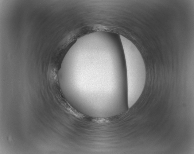 X0000078830621200611130933