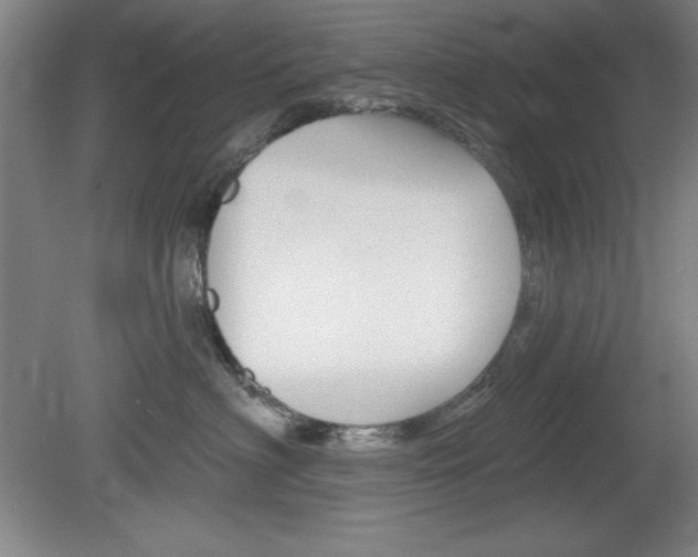 X0000078830622200611130933