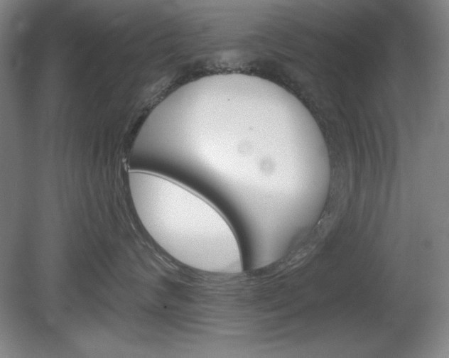 X0000078830624200611130933