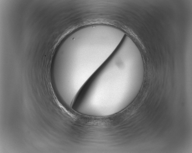 X0000078830625200611130932