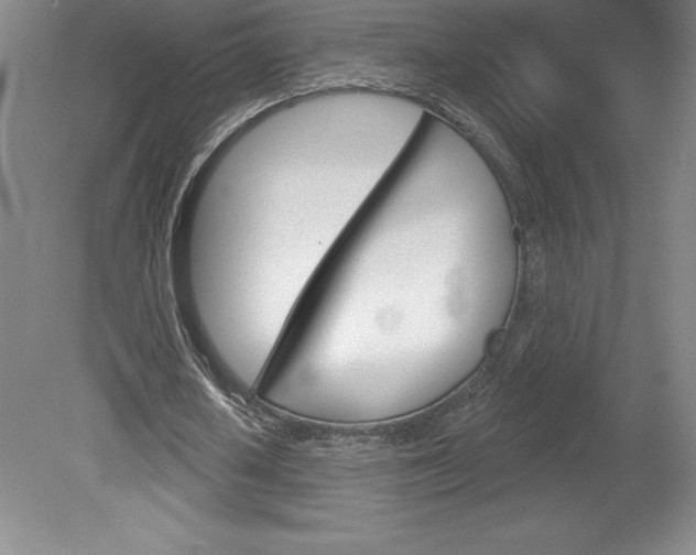 X0000078830626200611130932