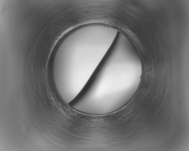 X0000078830628200611130933